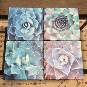 Agave canvas wall art